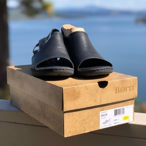 BORN Salvia F44203 US 11M